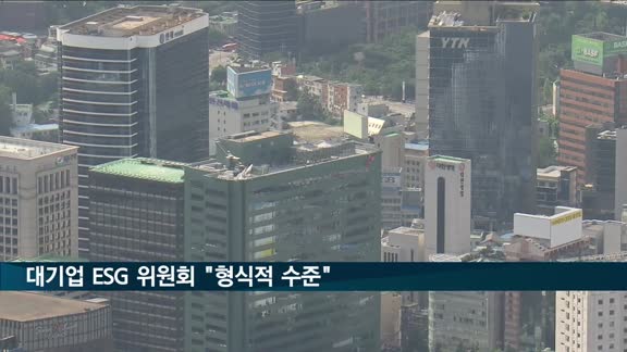 대기업 ESG 위원회 활동 아직 미미…"헝식적 수준에 그쳐"