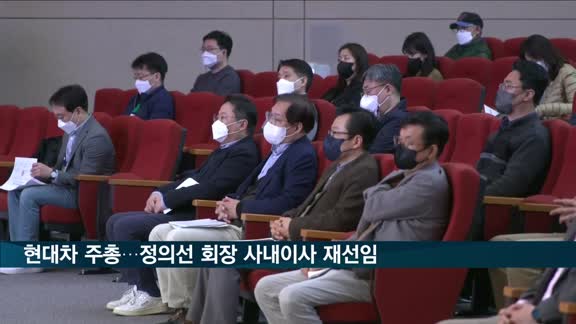 현대차 "공급물량 확대"…정의선 회장 사내이사 재선임