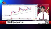 [생생한 주식쇼 생쇼] 심텍홀딩스 (036710) 