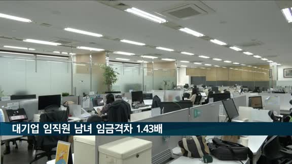 작년 대기업 임직원 남녀 임금 격차 1.43배