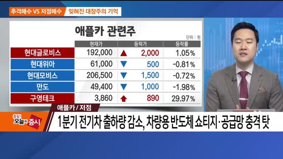 [추격매수 vs 저점매수] IT 대형주·애플카