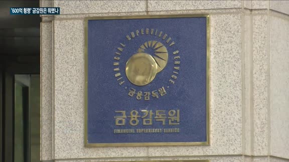 [우리은행 600억원대 횡령 사고] 금감원, 우리은행 횡령기간 11회 검사에도 적발 못해