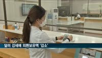 외환보유액 4천493억달러…미 달러 강세에 감소