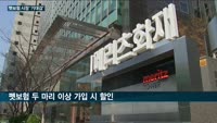 윤석열정부 '펫사랑'에 펫보험 시장도 '들썩'