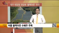 [생생한 주식쇼 생쇼] 일진전기 (103590)