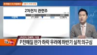 [추격매수vs저점매수] 백화점·2차전지 전해액