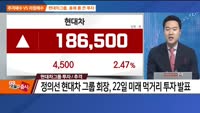 [추격매수vs저점매수] 신재생에너지·현대차그룹 투자