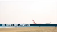 EU, '대한항공 합병' 국내 LCC 의견 청취