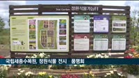 국립세종수목원, 정원식물 전시·품평회…'국내 식물로 탄소중립'