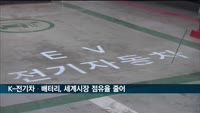 작년 K-전기차·배터리, 세계시장 점유율 줄어