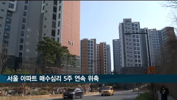 서울 아파트 매수심리 5주 연속 위축…수급지수 90 이하