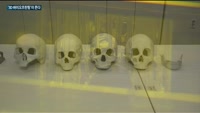 국내 의약품시장 '3D 바이오프린팅'이 뜬다