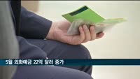 5월 외화예금 22억 달러 증가…"매도 시점 보류하는 기업 늘어나"