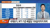 [추격매수vs저점매수] 보냉재·항공주