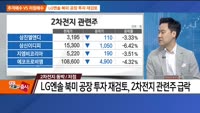 [추격매수vs저점매수] 반도체 빅2·2차전지 동박