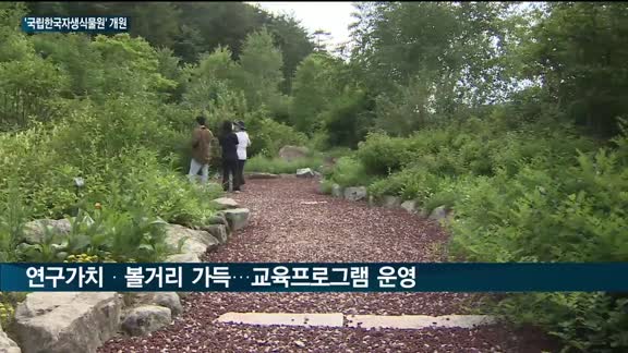 국립한국자생식물원, 강원 평창서 정식 개원…'우리꽃' 가득, 연구 가치 높아