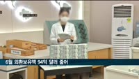 6월 외환보유액 94억달러 줄었다…금융위기 후 최대