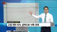[생생한 주식쇼 생쇼] 삼성전기 (009150)