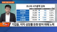 [애널리스트에게 듣는다] 먼저한 걱정이 안도 요인