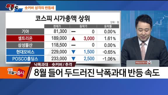 [추격매수 vs 저점매수] 팹리스·낙폭과대/숏커버