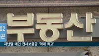 지난달 떼인 전세보증금 '역대 최고'