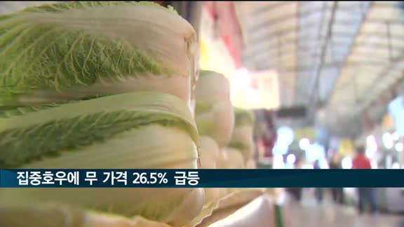 집중호우에 출하 차질…무 가격 일주일 새 26.5% 급등