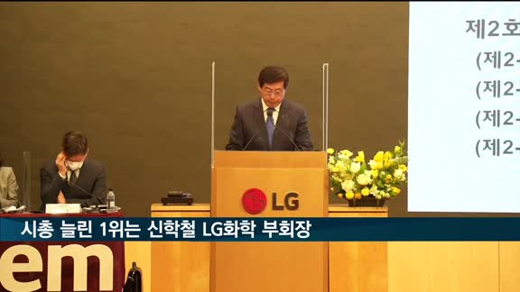 시총 늘린 1위는 신학철 LG화학 부회장