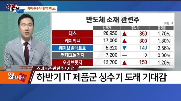 [추격매수vs저점매수] 스마트폰·임플란트