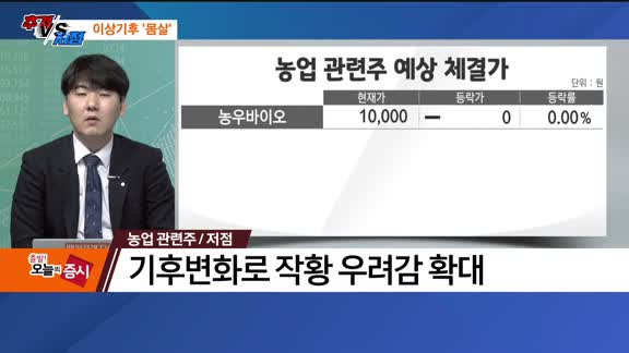 [추격매수vs저점매수] 농업·내수 관련주