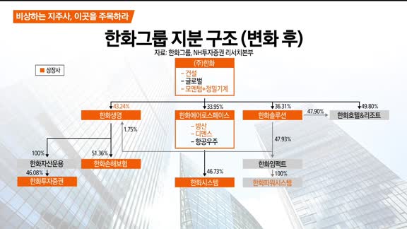 [애널리스트에게 듣는다] 비상하는 지주사, 이곳을 주목하라