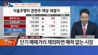 [추격매수vs저점매수] 철강·자율주행/드론