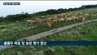 '전국한우능력평가대회' 한달 앞으로… '1억원' 한우 등장 기대감 '솔솔'