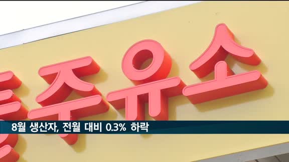 8월 생산자물가, 전월 대비 0.3% 떨어져…1년 10개월 만에 하락