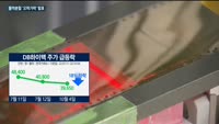 풍산·DB하이텍, 물적 분할 '오락가락' 발표…'널뛰기 주가'에 개미만 피해 '눈덩이'