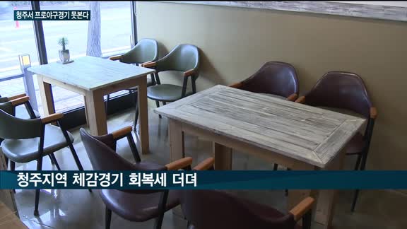 내년 상반기에도 청주서 프로야구경기 못본다…지역 소상공인 '한숨'