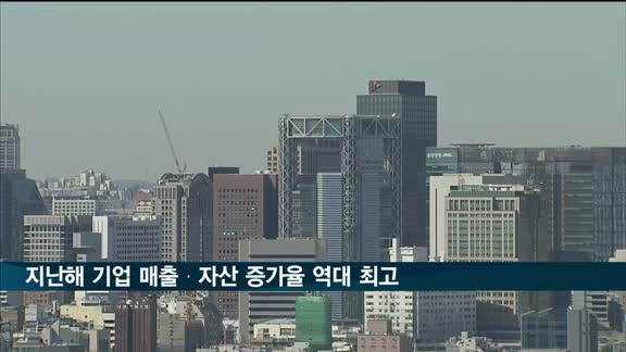 지난해 기업 매출·자산 증가율 역대 최고