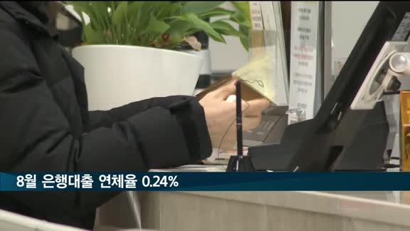 8월 은행대출 연체율 0.24%…전월비 0.02%p 상승