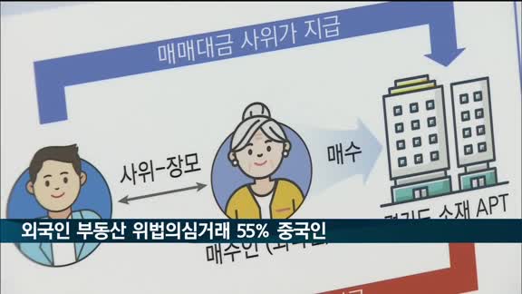 외국인 투기 기획조사…위법의심거래 55%는 중국인