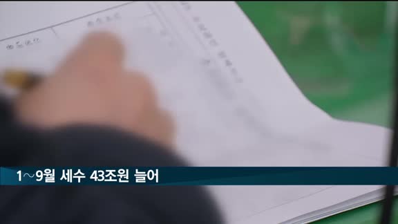 1∼9월 세수 43.1조원 늘어