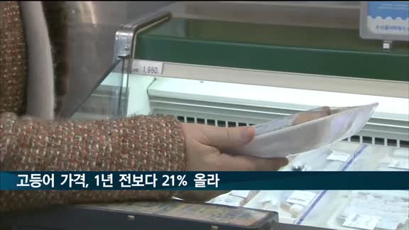 고등어 가격, 지난해보다 20% 넘게 올라