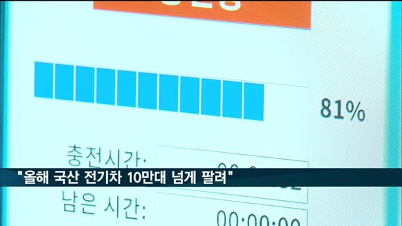 국산 전기차 10만시대 열렸다…완성차 5개사 판매 첫 돌파