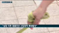 올해 마지막 IPO 공모주 출격…바이오노트 "글로벌 톱3 기업으로 도약"