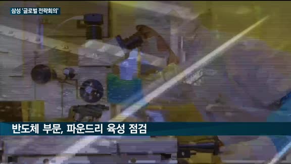 삼성전자, JY 회장 취임 후 첫 글로벌전략회의 개최…리스크 관리 해법 찾기 나선다