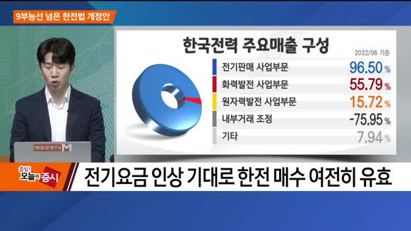 [애널리스트에게 듣는다] 9부능선 넘은 한전법 개정안