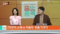 [줄 서는 종목] 자동차·부품 vs 2차전지 소재 TOP3
