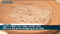 "바이오 플라스틱이 뜬다"…LG화학·동성케미컬 친환경 사업 본격화