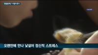 명절 불청객 '명절증후군' 극복법은?…"휴식·수면으로 신체 피로 줄여야"