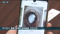 '펫테크'가 뜬다…반려동물 건강도 '맞춤형 AI'로