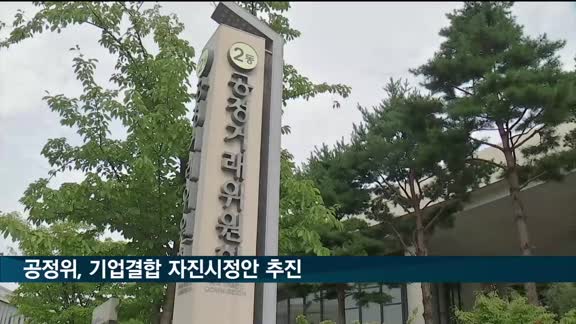 공정위, 기업 M&A 독과점 자진시정안 입법 예고
