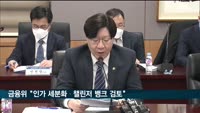 인가 세분화·챌린저 뱅크 검토…"은행권 경쟁 촉진"